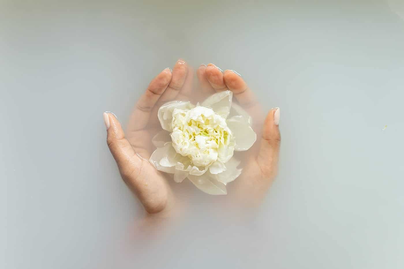 Hands holding lotus flower in milky or soapy water