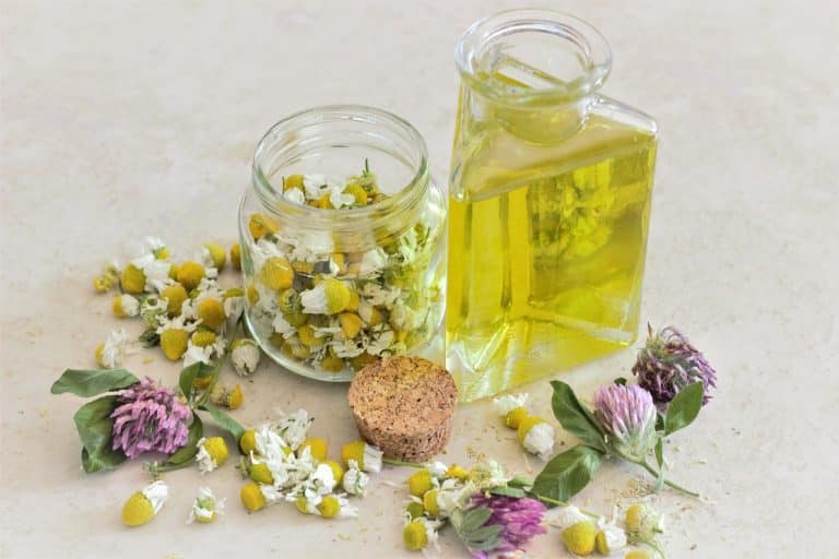 The Top 10 Best Essential Oils