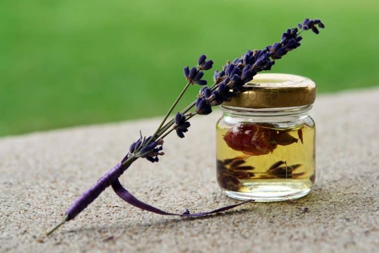 Discovering Home Uses of Lavender Essential Oil: From Aromatherapy to Cleaning