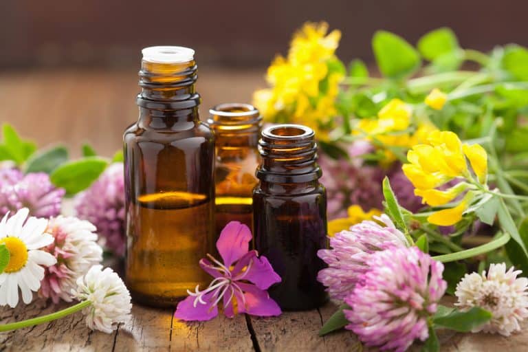 The Best Essential Oils For Skin
