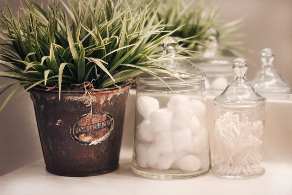 Picture of spikey succulent with glass jars holding cotton swabs and balls.